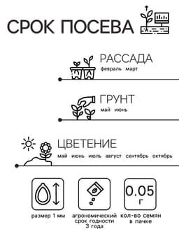 Семена цветов Годеция «Синдерелла» крупноцветковая махровая, смесь окрасок, однолетник, 0.05 г, «Аэлита»