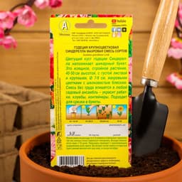 Семена цветов Годеция «Синдерелла» крупноцветковая махровая, смесь окрасок, однолетник, 0.05 г, «Аэлита»