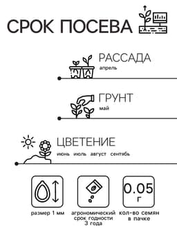 Семена цветов Годеция «Красавица лета» крупноцветковая, смесь окрасок, однолетник, 0.05 г, «Аэлита»