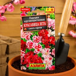 Семена цветов Годеция «Красавица лета» крупноцветковая, смесь окрасок, однолетник, 0.05 г, «Аэлита»