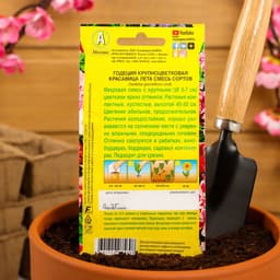 Семена цветов Годеция «Красавица лета» крупноцветковая, смесь окрасок, однолетник, 0.05 г, «Аэлита»