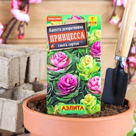 Семена цветов Капуста декоративная «Принцесса», смесь окрасок, однолетник, 0.1 г, «Агрофирма АЭЛИТА»