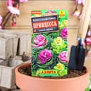 Семена цветов Капуста декоративная «Принцесса», смесь окрасок, однолетник, 0.1 г, «Агрофирма АЭЛИТА»