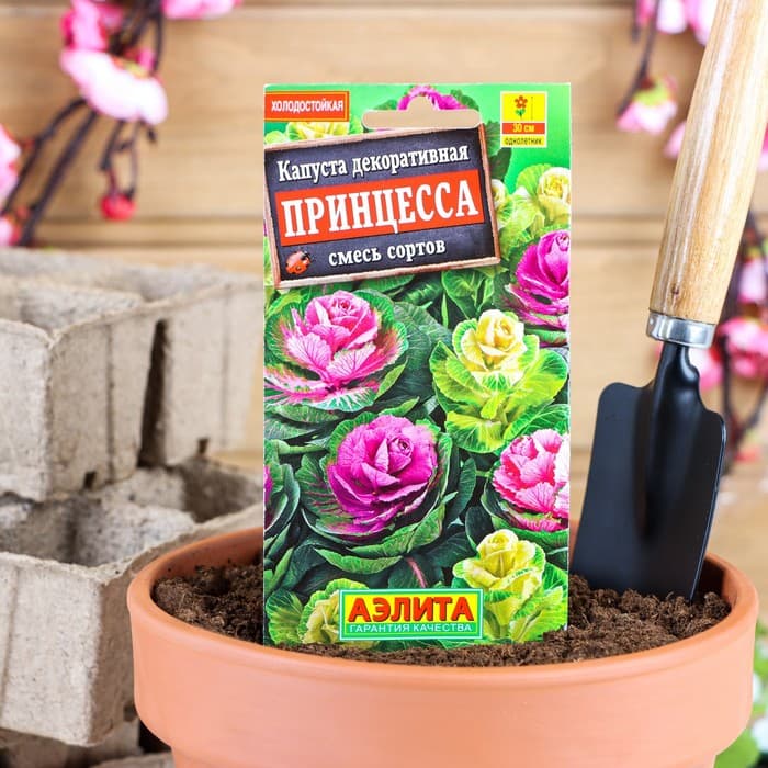 Семена цветов Капуста декоративная «Принцесса», смесь окрасок, однолетник, 0.1 г, «Агрофирма АЭЛИТА»