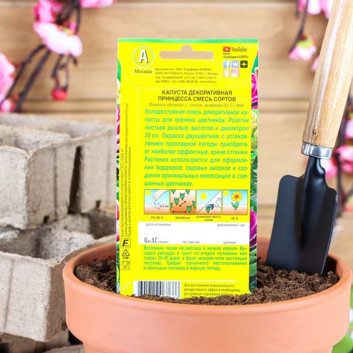 Семена цветов Капуста декоративная «Принцесса», смесь окрасок, однолетник, 0.1 г, «Агрофирма АЭЛИТА»