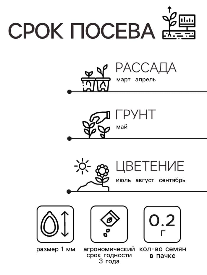 Семена  цветов Шток-роза Ассорти, смесь окрасок, О, 0,2 г