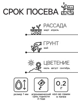 Семена  цветов Шток-роза Ассорти, смесь окрасок, О, 0,2 г