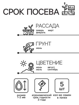 Семена комнатных цветов Пеларгония «Рафаэлла», «АЭЛИТА», F1, 5 шт.