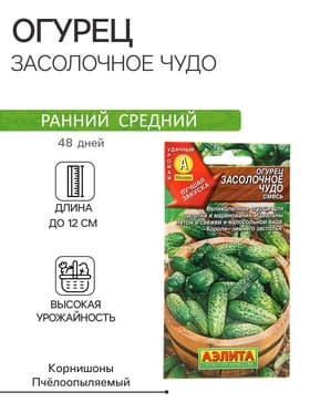 Семена огурца "Засолочное чудо", 20 шт.
