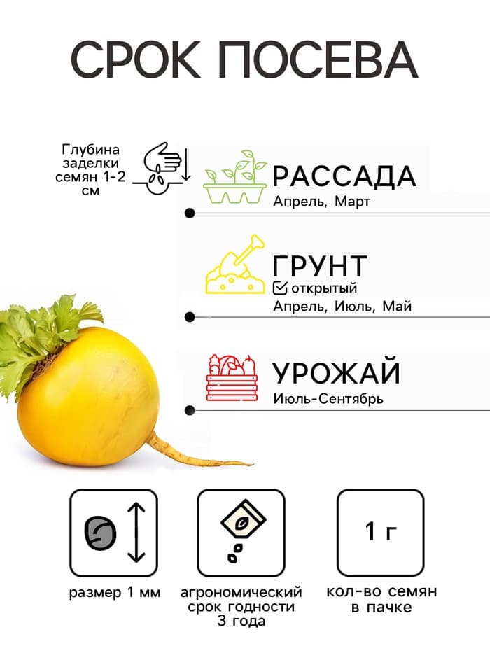 Семена Репа «Бабка», 1 г, «АЭЛИТА»