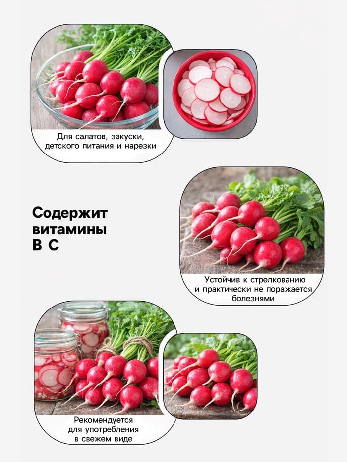 Семена Редис «16 дней», 2 г, «Агрофирма АЭЛИТА»