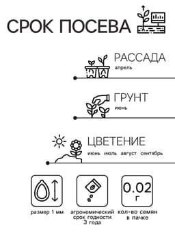 Семена цветов Агератум «Букетный», смесь окрасок, однолетник, 0.02 г, «Аэлита»