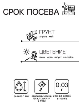 Семена цветов Немезия «Звездный путь», смесь окрасок, однолетник, 0.03 г, «Аэлита»