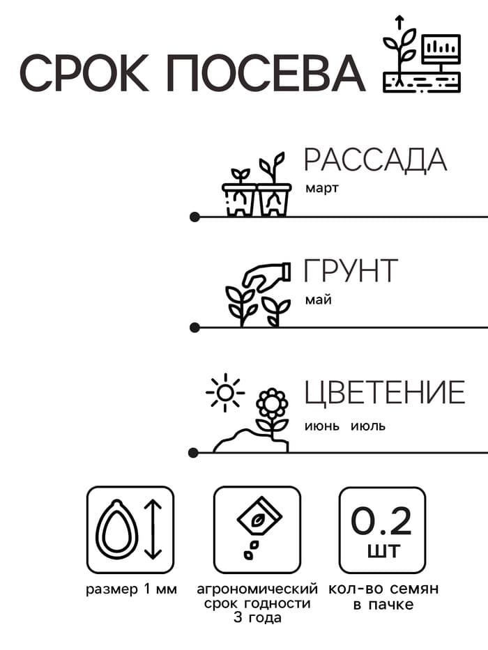 Семена цветов Маттиола Левкой «Букетная», смесь окрасок, однолетник, 0.2 г, «Аэлита»