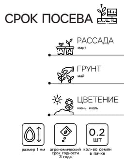 Семена цветов Маттиола Левкой «Букетная», смесь окрасок, однолетник, 0.2 г, «Аэлита»