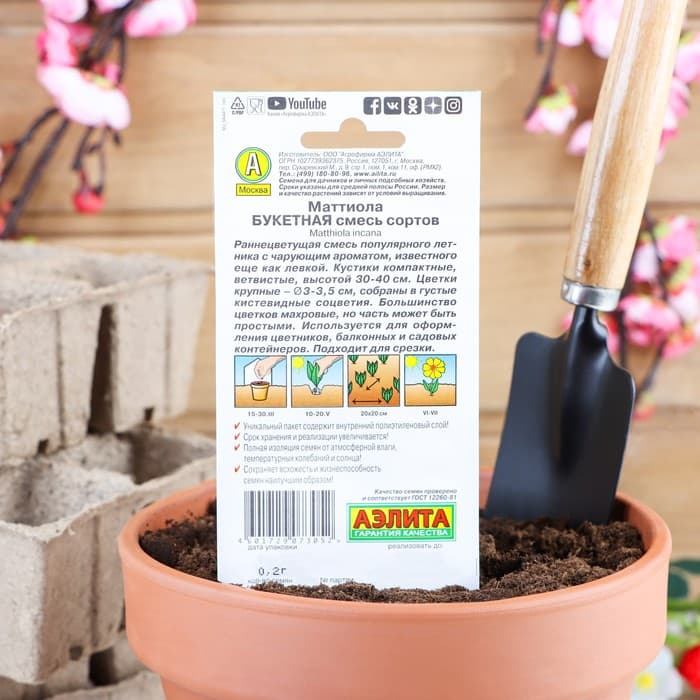 Семена цветов Маттиола Левкой «Букетная», смесь окрасок, однолетник, 0.2 г, «Аэлита»