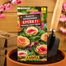 Семена цветов Капуста декоративная «Крейн биколор F1», смесь окрасок, однолетник, 7 шт., «АЭЛИТА»