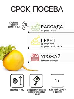 Семена Репа «Жучка», 1 г, «АЭЛИТА»