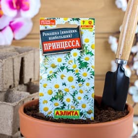 Семена цветов Ромашка садовая «Принцесса», 0.2 г