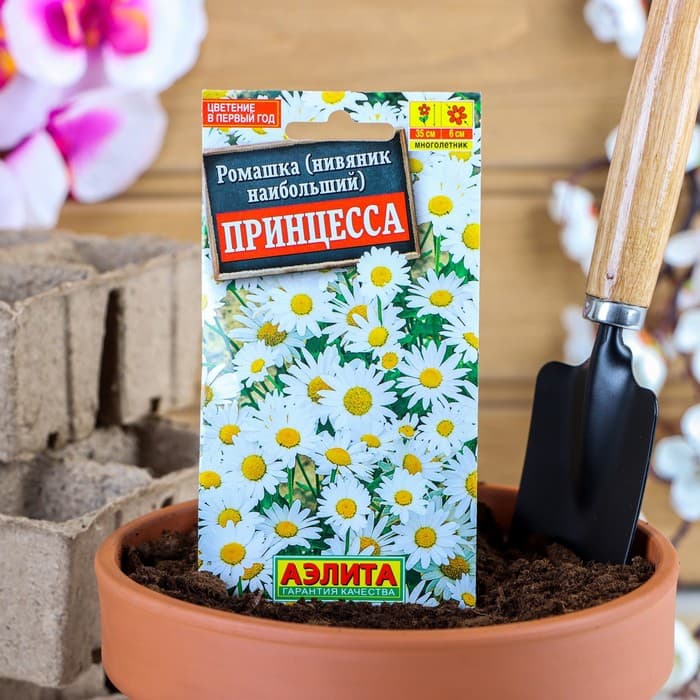 Семена цветов Ромашка садовая "Принцесса", 0,2 г