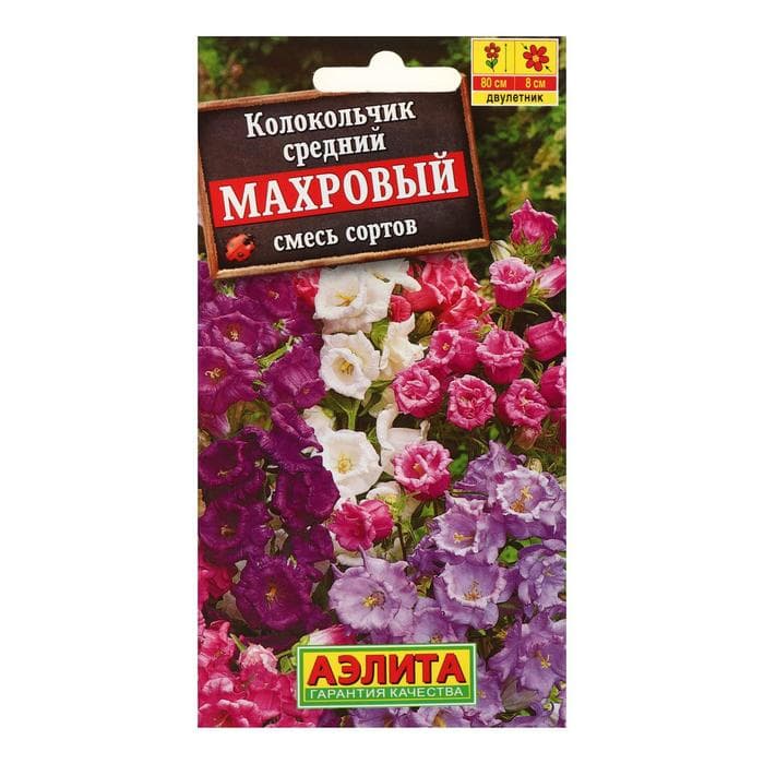 Семена цветов Колокольчик средний «Махровый», смесь сортов, 0.2 г