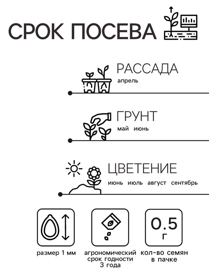 Семена цветов Цинния «Шаровидная», смесь окрасок, однолетник, 0.5 г, «Аэлита»