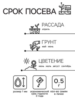 Семена цветов Цинния «Шаровидная», смесь окрасок, однолетник, 0.5 г, «Аэлита»