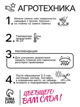 Семена цветов Календула «Гейша» махровая, однолетник, 0.5 г, «Аэлита»