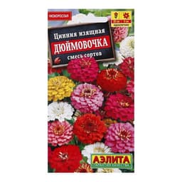 Семена цветов Цинния изящная «Дюймовочка», смесь сортов, 0.3 г