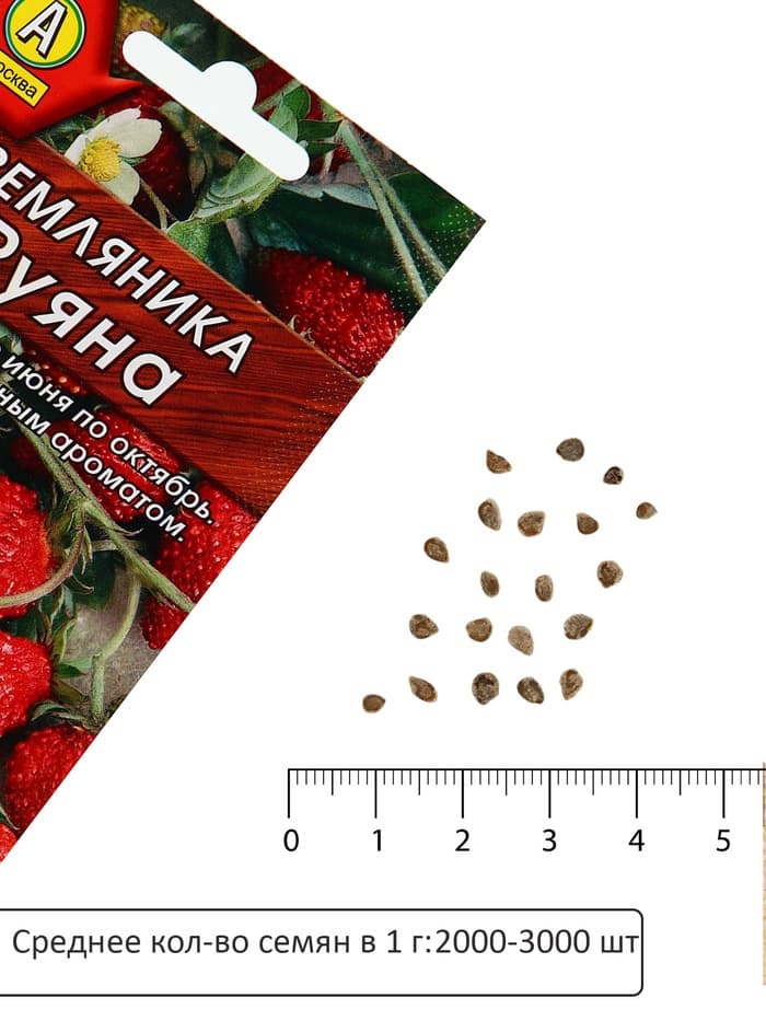Семена Земляника «Руяна», альпийская, 0.04 г, «Аэлита»