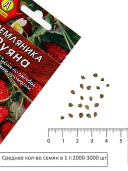 Семена Земляника «Руяна», альпийская, 0.04 г, «Аэлита»