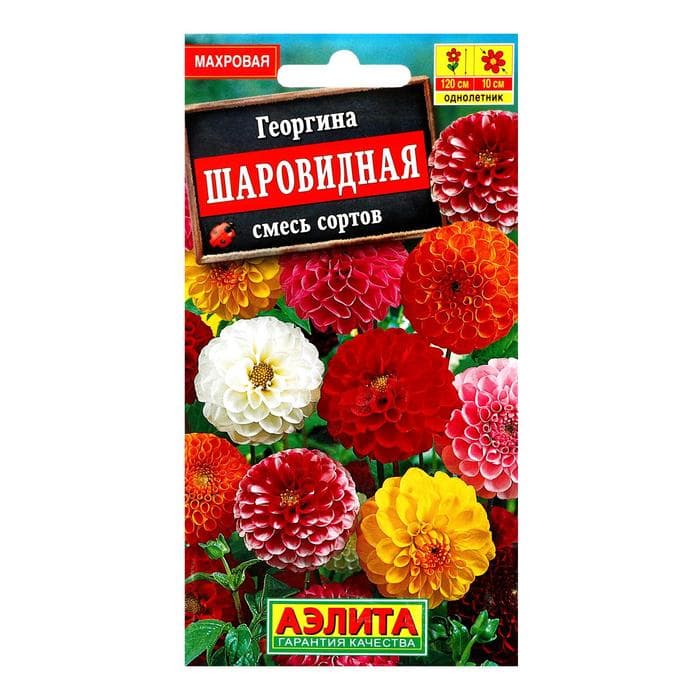 Семена  цветов Георгина "Шаровидная", смесь окрасок, О, 0,2 г