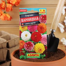 Семена  цветов Георгина "Шаровидная", смесь окрасок, О, 0,2 г