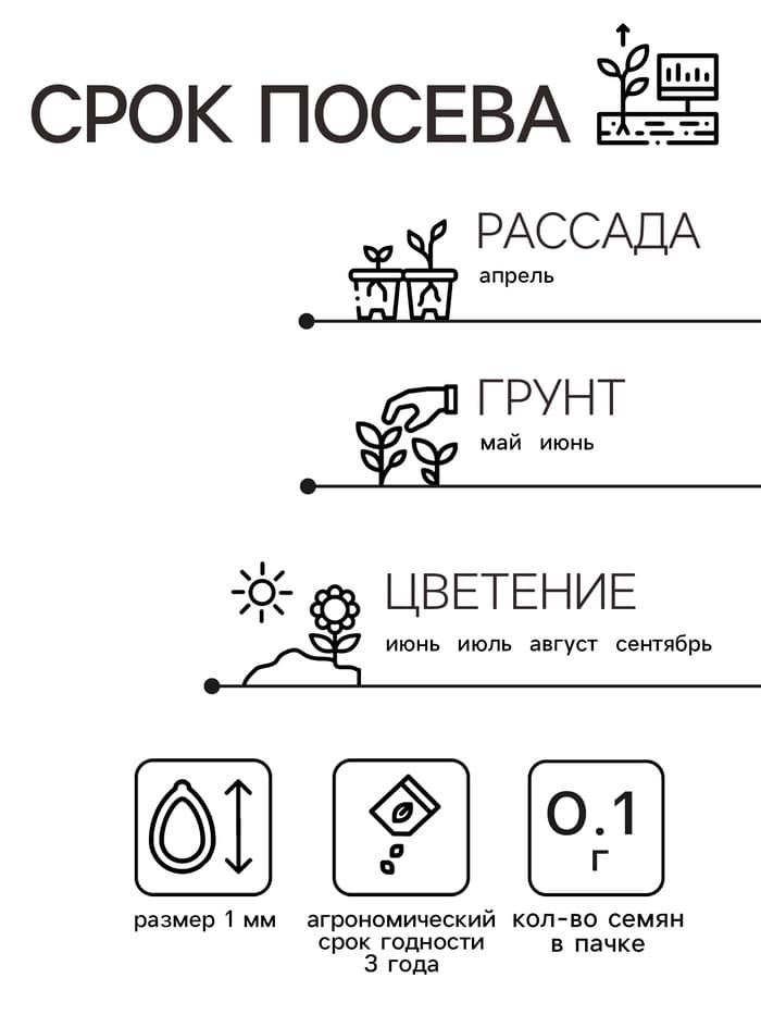 Семена цветов Портулак махровый «Веселый хоровод», смесь окрасок, однолетник, 0.1 г, «Аэлита»