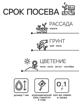 Семена цветов Портулак махровый «Веселый хоровод», смесь окрасок, однолетник, 0.1 г, «Аэлита»