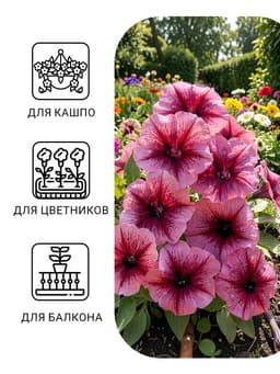 Семена цветов Петуния «Варвара Краса F1» многоцветковая, однолетник, 7 шт.