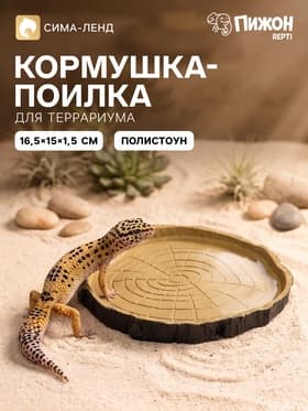 Кормушка - поилка для террариума, 16.5×15.5×1.5 см