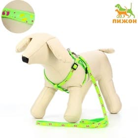 Шлейка с поводком «Цветные следы», ОГ 23-35 с, ширина 1 см, поводок 120 см, зелёная