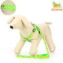 Шлейка с поводком «Цветные следы», ОГ 23-35 с, ширина 1 см, поводок 120 см, зелёная