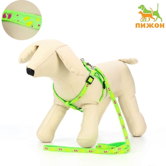 Шлейка с поводком «Цветные следы», ОГ 23-35 с, ширина 1 см, поводок 120 см, зелёная