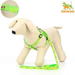 Шлейка с поводком «Цветные следы», ОГ 23-35 с, ширина 1 см, поводок 120 см, зелёная