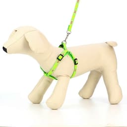 Шлейка с поводком «Цветные следы», ОГ 23-35 с, ширина 1 см, поводок 120 см, зелёная