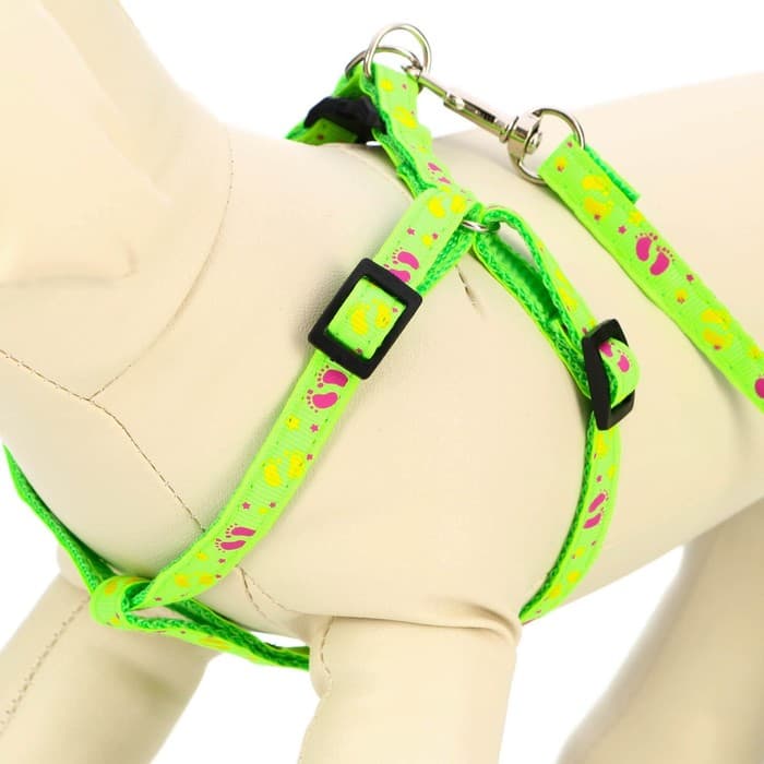 Шлейка с поводком «Цветные следы», ОГ 23-35 с, ширина 1 см, поводок 120 см, зелёная