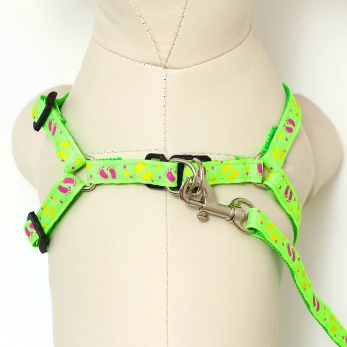 Шлейка с поводком «Цветные следы», ОГ 23-35 с, ширина 1 см, поводок 120 см, зелёная