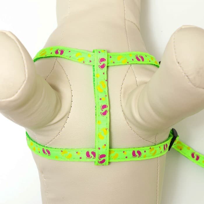 Шлейка с поводком «Цветные следы», ОГ 23-35 с, ширина 1 см, поводок 120 см, зелёная