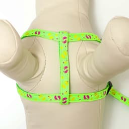 Шлейка с поводком «Цветные следы», ОГ 23-35 с, ширина 1 см, поводок 120 см, зелёная