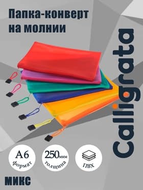 Папка-конверт на молнии А6, 250 мкм, с сеткой внутри, МИКС