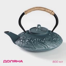 Чайник чугунный Доляна «Ялонг», 800 мл, с ситом, голубой