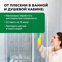 Удалитель плесени Prosept Fungi Clean, концентрат, 1 л