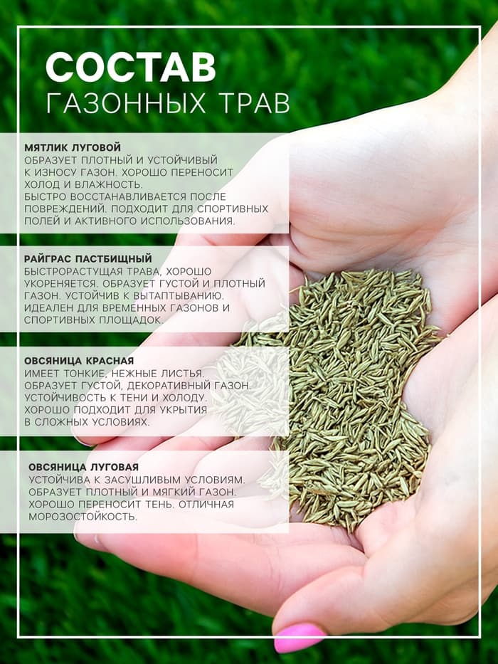 Газонная травосмесь Абсолют Спорт, 10 кг